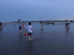 -奉贤海滩