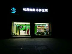 -瑞鹏宠物医院·超声·骨科·奇麟分院(蜀都万达店)