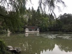 -山外山菜馆(玉泉路店)