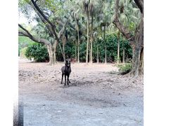 -广州长隆野生动物世界