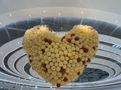 -深圳龙华星河COCO City(民治店)