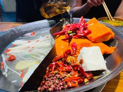 -阳阳老火锅(小南门店)