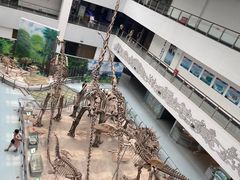 -中国地质大学逸夫博物馆