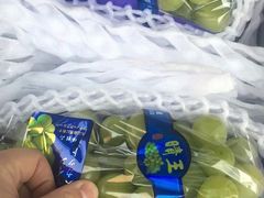 -沈阳市八家子水果批发市场