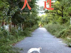 -西尖山公园