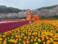-苏州上方山国家森林公园