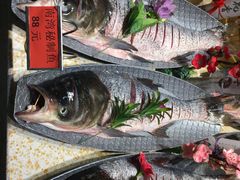 -老家信阳菜(北京路店)