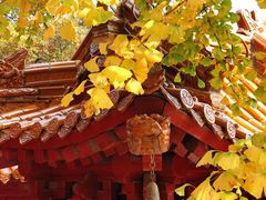 -沂蒙山旅游区云蒙景区(蒙山国家森林公园)