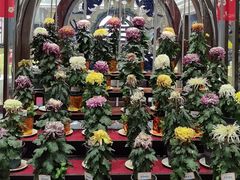 -小榄公饭店·岭南庭院餐厅(民安北路店)