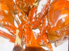 -台鄉缘 ·小海鲜·台州菜(桃林路店)