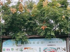 -凤凰沟景区
