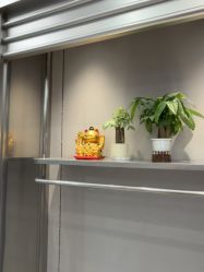 -跳动全城舞蹈
