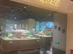 -帕帕拉兹宠物(亚洲旗舰店)