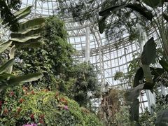 -郑州植物园