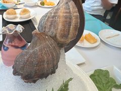 -皇城老妈·大连海鲜火锅(港湾店)