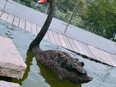 -南京圣和府邸豪华精选酒店