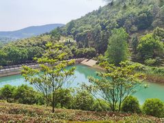 -九龙潭景区