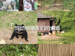 -合肥野生动物园