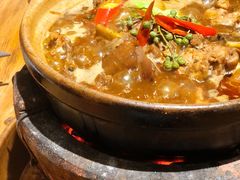 花椒肥肠鸡煲-十六蒲(桂林路店)