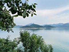 -望湖烤鱼