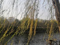 -西安汉城湖景区