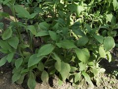 -云川台球(马甸店)