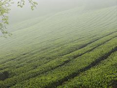 -敬亭山风景名胜区