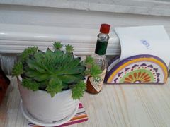 android_upload_pic-吃饼人西餐(南开店)