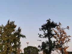 -国际非物质文化遗产博览园