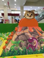-波比一号儿童乐园(圣熙8号店)