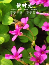 -玄武湖景区-情侣园游乐场
