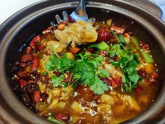 泡椒馋嘴蛙-皇朝会.经典传统粤菜(外滩店)