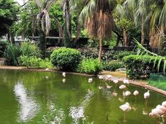 -九龙公园