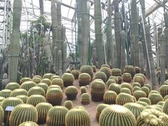 -南山植物园