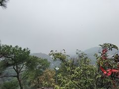 -缙云山景区