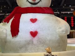 -宁波冰雪大世界(北仑区)