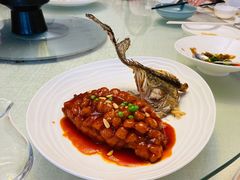 松子桂鱼-上海和平饭店龙凤厅 Dragon Phoenix
