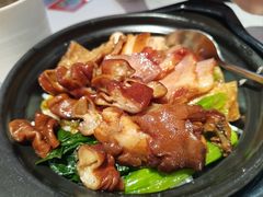 -潮人潮品隆江猪脚饭(城壹汇·流花店)