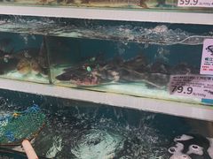 -盒马鲜生(莱蒙都会店)