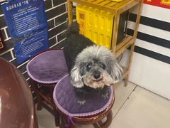 -恒信牛奶甜品(南京总店)