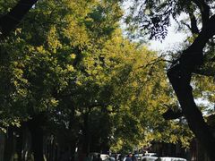 -北京国子监胡同