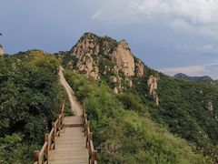 -大岭沟猕猴桃谷风景区