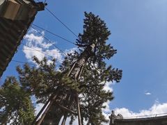 -潭柘寺景区