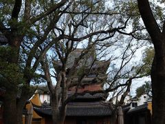 -普陀山风景名胜区-法雨禅寺