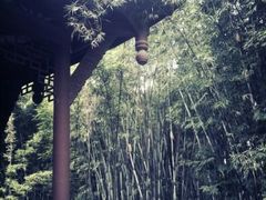 android_upload_pic-望江楼公园