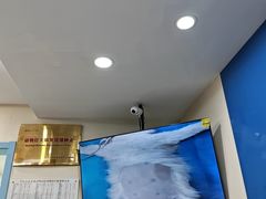 -全心全意连锁动物医院·微创中心·内科急重症·心脏专科(丰管路店)