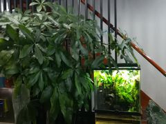 -繁花足道(梅江店)