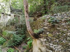 -北京上方山国家森林公园