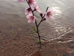 -池州市平天湖风景区