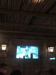 -翱翔飞越地平线